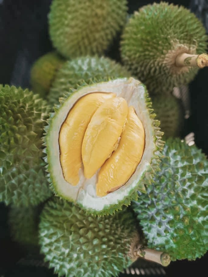 Musang King – “Vua sầu riêng” của Malaysia